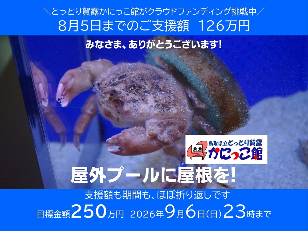 中間報告用.jpg